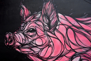 Artwork Schwein